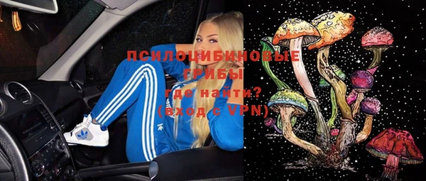дмт Армянск