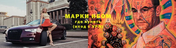 гашик Аркадак