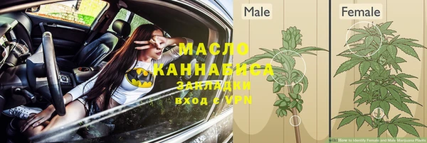 гашик Аркадак
